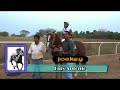 Carreras de Caballos Arcelia Guerrero