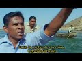 adivasi