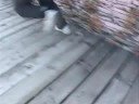 Reportage Parkour BTV (Barcelona Televisi�)