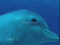 freedom-is-happiness-for-gill.html