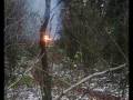 TREE BOMB - ANNMAL 1,3kg + HMTD 5g