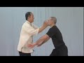 YMAA Taiji Applications (Yang taijiquan) tai chi fighting!