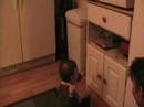 Kevin Playing With The Cupboard Kevin Playing With The Cupboard