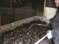 Watering The Worm Bin