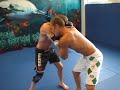 Gunnar Nelson HL and training