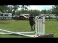 videos de Houdini (Pony For Sale)