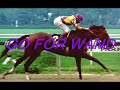The Best Racehorses of the World! The Best Racehorses of the World!
