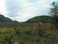 Argentine: Ushuaia