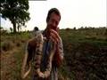 Jaguar Adventure with Nigel Marven - Snake Bite