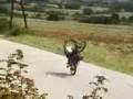 videos de neo souli