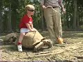Riding the Tortoise Riding the Tortoise