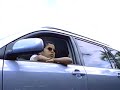 Ken Hirai / 平井堅 [Toyota Corolla Fielder CM #2]