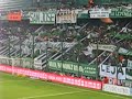 Hinchada Taladro (banfield)