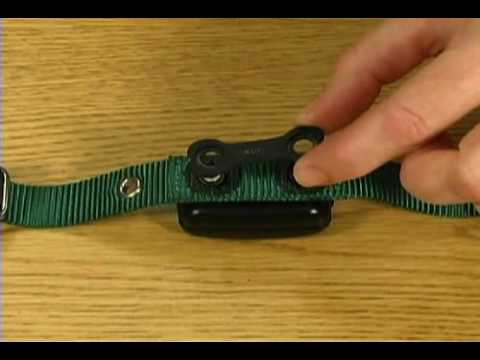 how to fasten an e collar