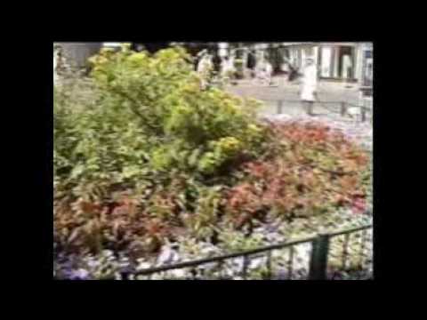 Graz und Umgebung 2006.
