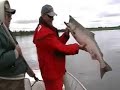 nushagak kings fish alaska