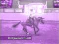 videos de EQUISIRIANS!-Lux Aeterna-Horse Music Video-Watch in HQ!