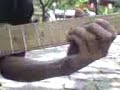 Nothing else matters-Metallica