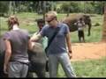Negombo to Kandy Tour [Part 01]