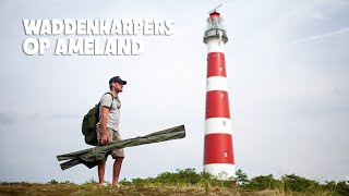 De waddenkarpers van Ameland - Carpfeeling