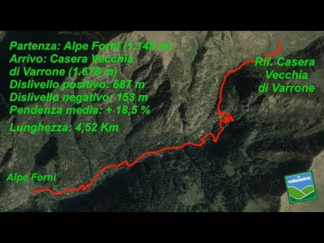 Dall'Alpe Forni al Rifugio Casera Vecchia di Varrone