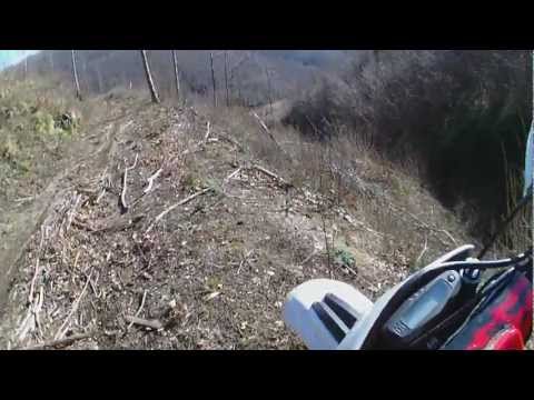 Guarda il video