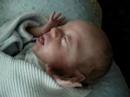 maddox on mommy's lap.