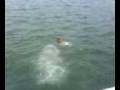 niño al agua