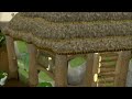 runescape hd trailer