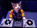 Best Electro-house