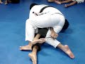 Gracie Barra Playa del carmen