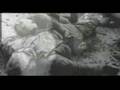 videos de bombing of dresden