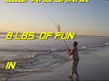 8 lb leopard shark cut