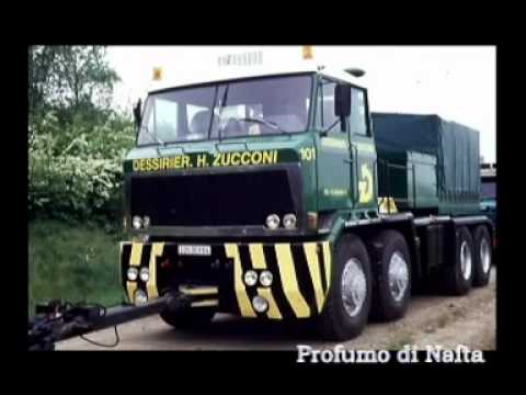 Camion in passerella (Foto P.2)