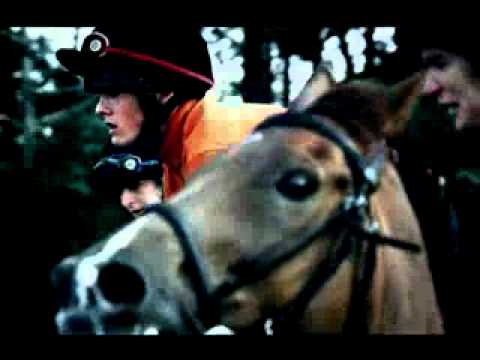 Uniqlo Racehorses See video