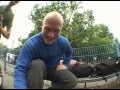 Padded Cell UK BMX Roadtrip Promo #2