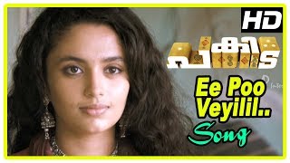 Pakida Movie Scenes  Ee Poo Veyilil Song  Asif Ali