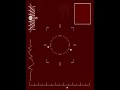 cat chasing laser pointer