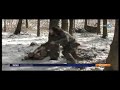 Vosges Alsace Airsoft dans 100% sport france 3