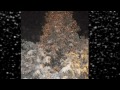 Winterliche Fotoshow