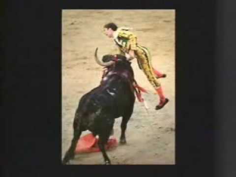 Matador Gets Gored
