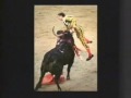 Score One For The Bull - Matador Gets Gored