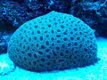 Pierwszy dzie? wakacji