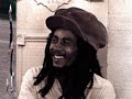 David Rodigan talks to Bob Marley