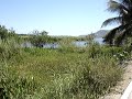 El Tule Lagoon, Boardwalk and AMAC\ El Tule Lagoon, Boardwalk and AMAC\