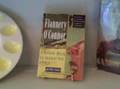 Flannery O'Connor Background