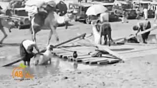 محطات وصور نادرة من موسم روبين جنوب يافا