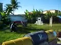 PaintBall - Paint Zone