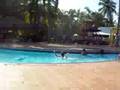 bavaro beah