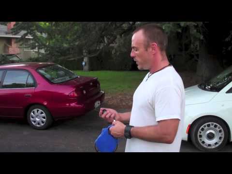 how to train with shock collar